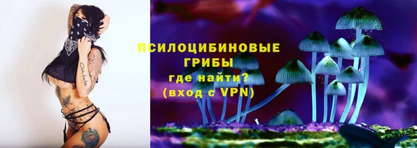 гашик Остров