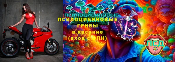гашик Остров